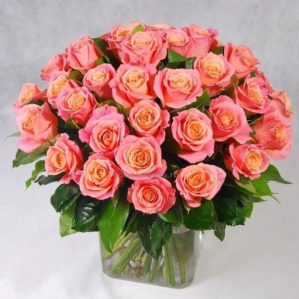 2e0r86SKnVc.webp