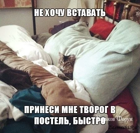 2e1ab79372348ed0.webp