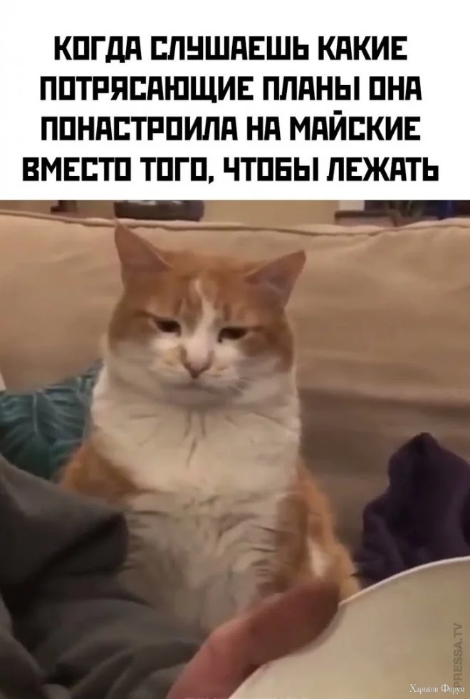 2E2cgm4O6c55QEgeK9aq8QTB1Fx3qK6Wbw.webp