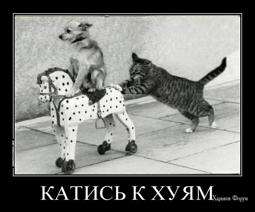 2e32b0279f8258195ae.webp