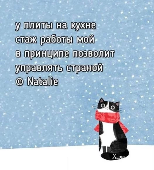 2e42e94a0cbfb7eea9334cb.webp