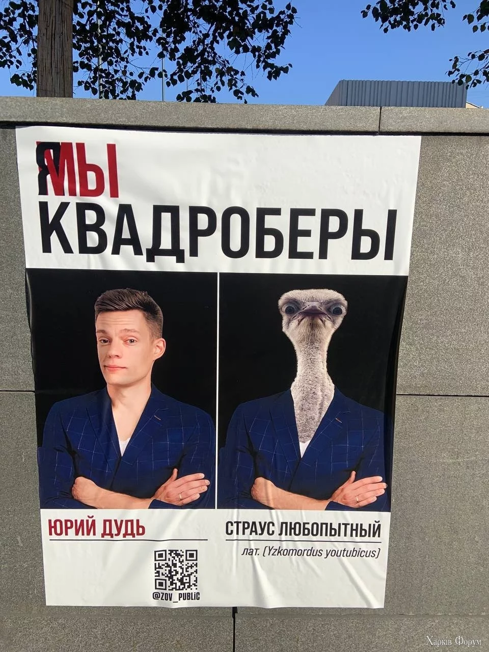 Кадроберы Дудь Яшин Певчих Волков