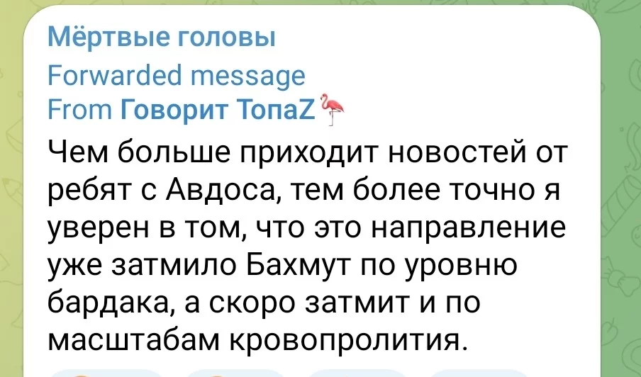 2E5bveNBkH62bCL0Ysu2Nr5Kqfbs0FNpgN.webp