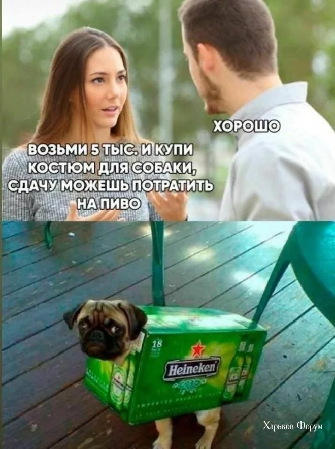 2e5dcc2c2a83b68aa.webp