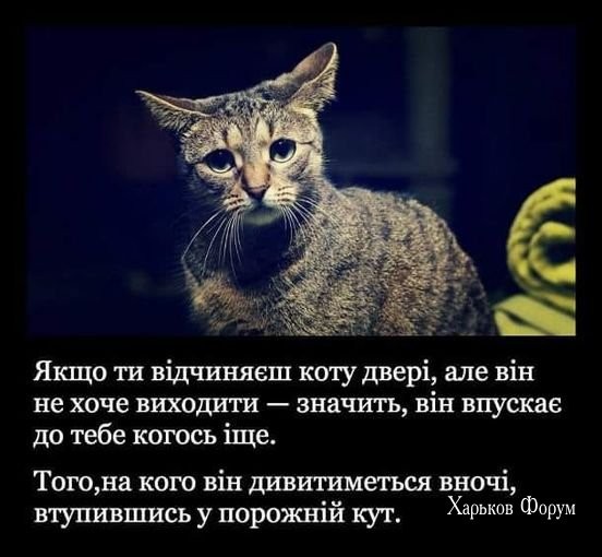 2e649dbe3f69c0ffa310fb5.jpg