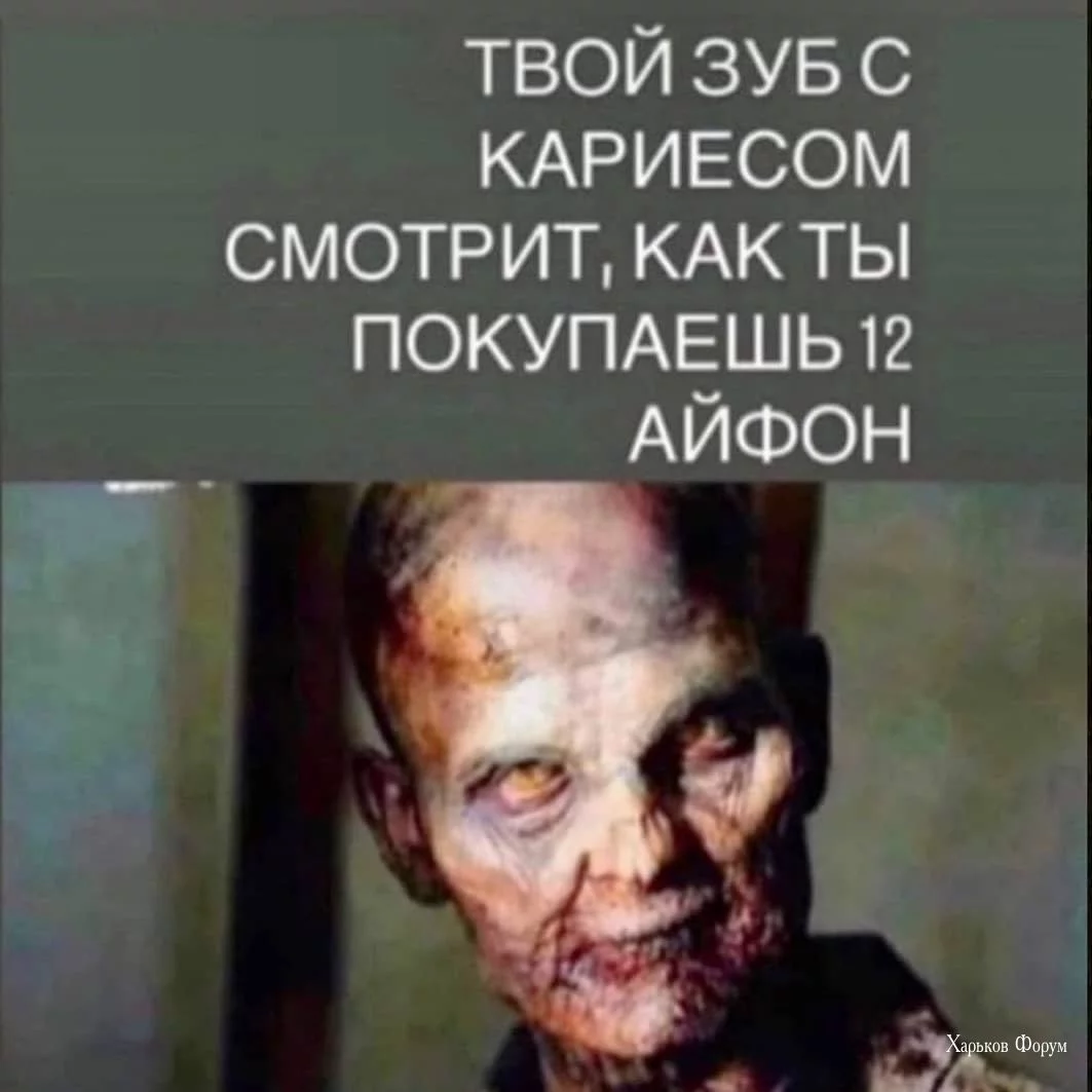 2e702130fe5faeb13.webp