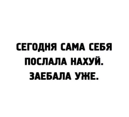2e7185aa0b42027d.webp