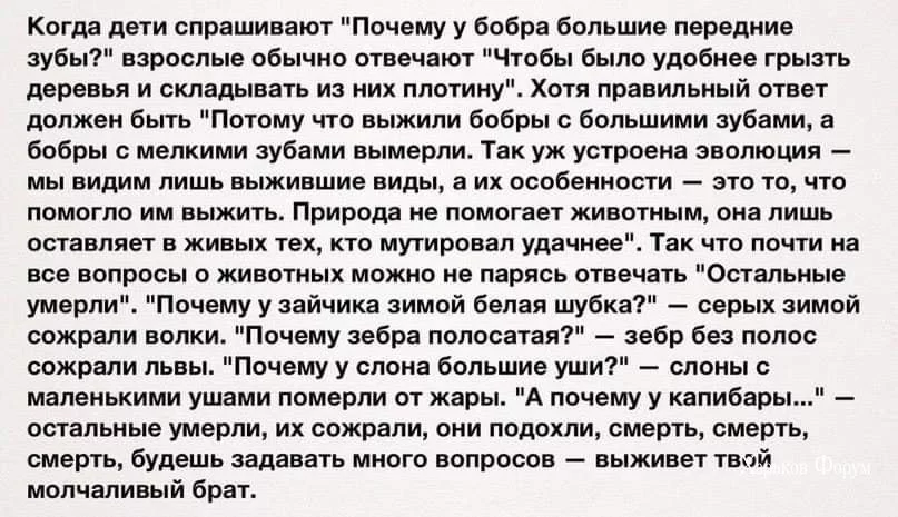 2e85e7b7733e7ae8.webp