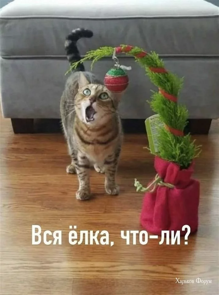 2e86b8ee65f244b028.jpg