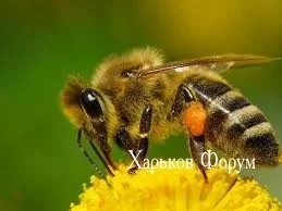 2e9c3953a7f515885591.webp