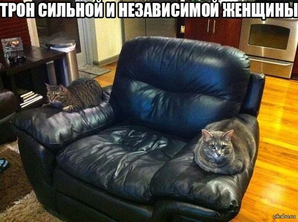 2eaeab.webp