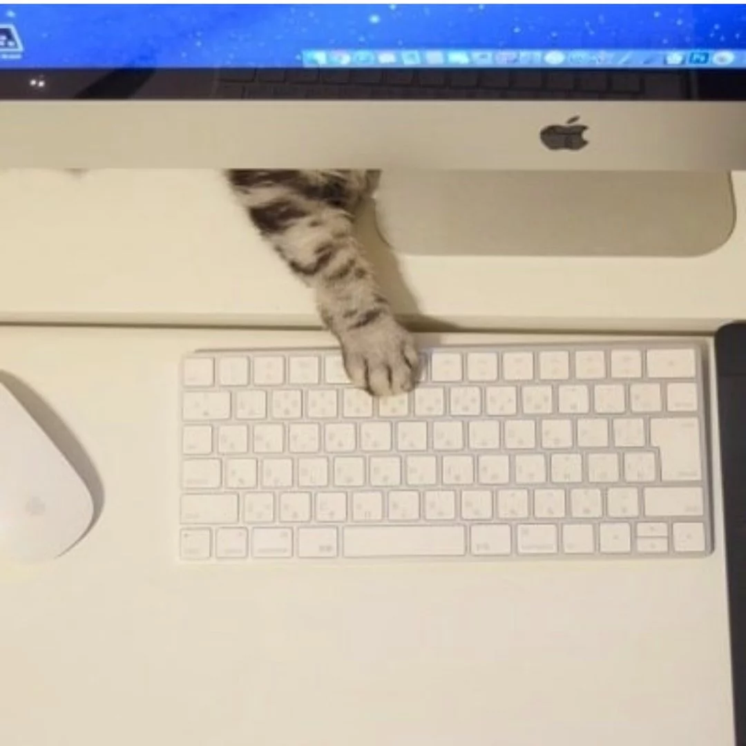 2eahaf.webp