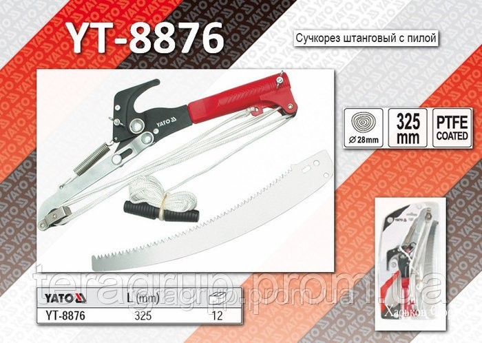2ecaa2e3d370e946.jpg