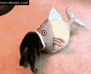 2ed55e222359ab61176dfd04.gif