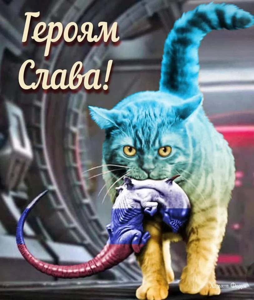 2ee13b67f681b38816469e.webp