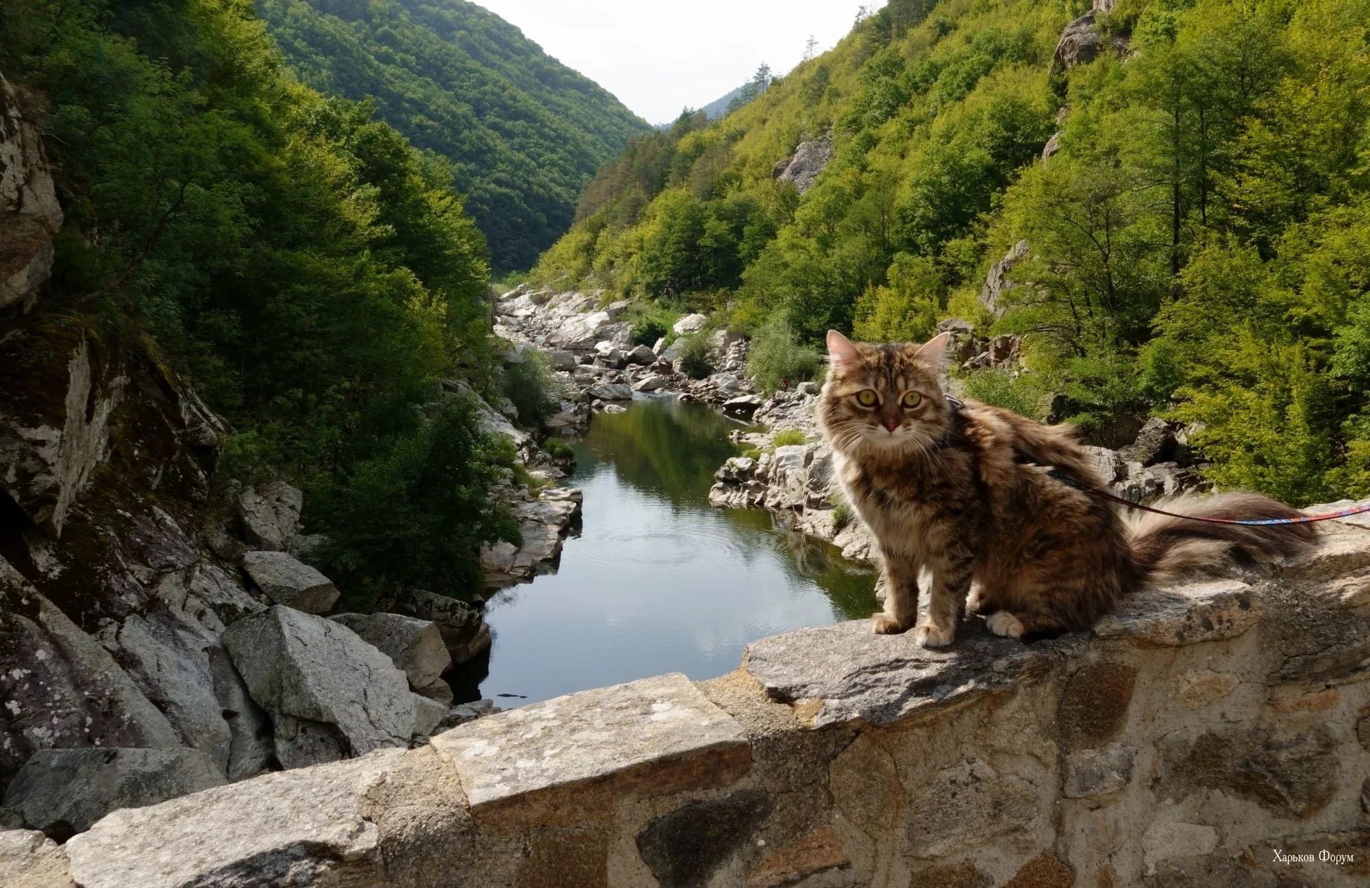 2ee2443511826c231e495ac.webp