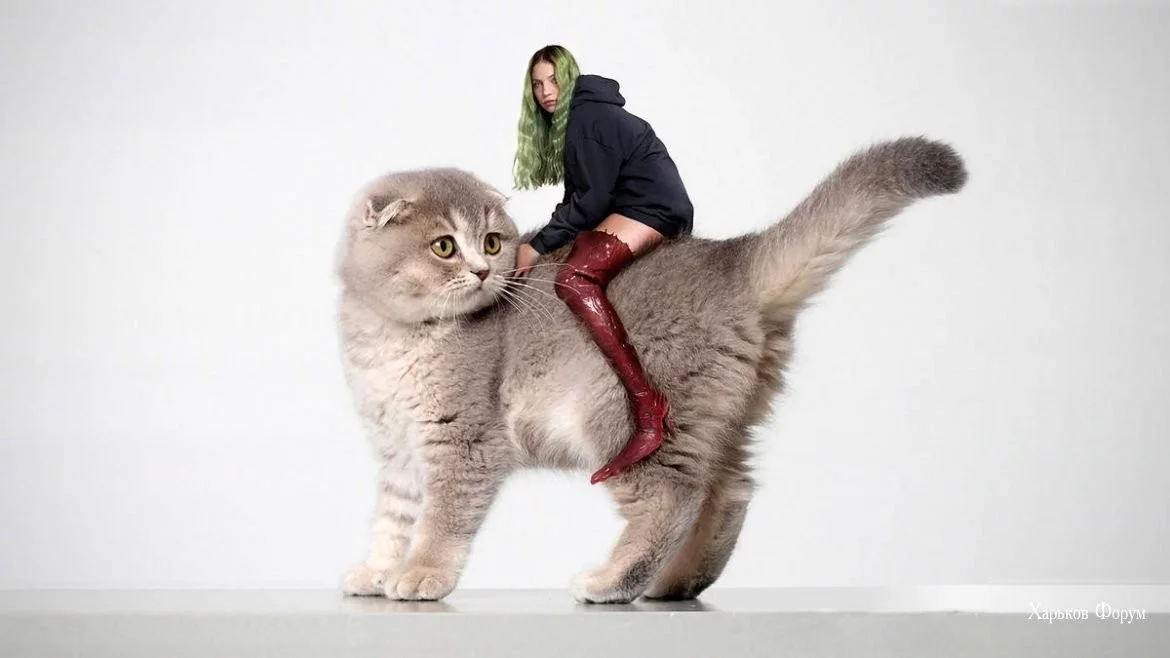 2eebb1ea7a0f9580.webp