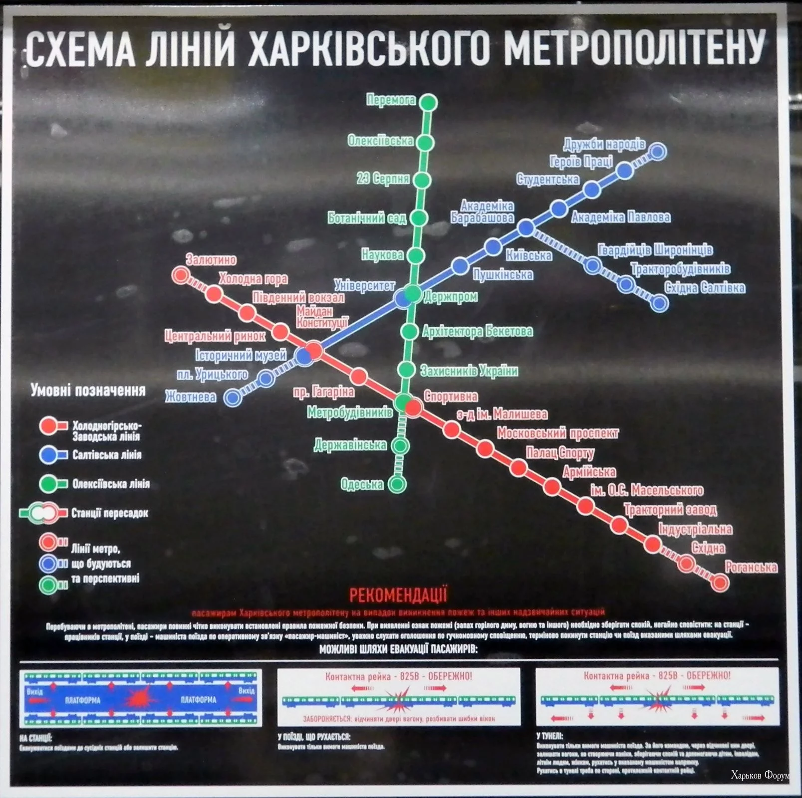 2eebe5181a8387c65.webp