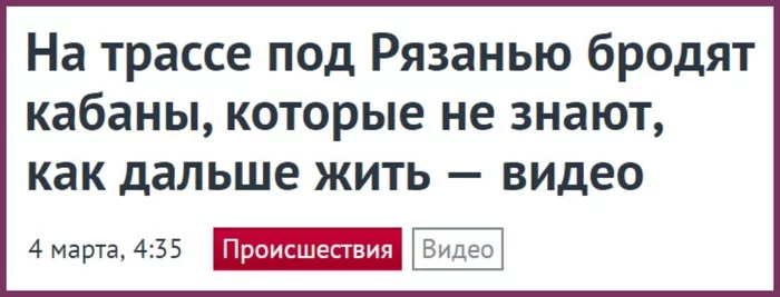 2egbgd.webp