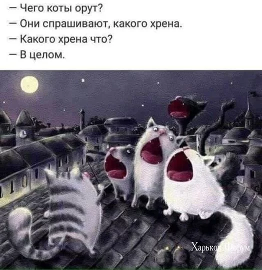 2f1b9dbf4a3faff4959999.webp