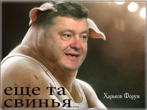 2f27ec30f8cd49a6d9a2.webp