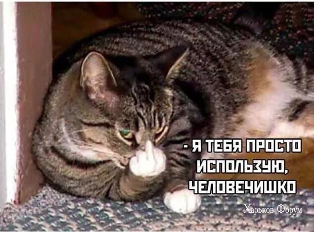 2f393e14c5b12a23eedc6b06.webp