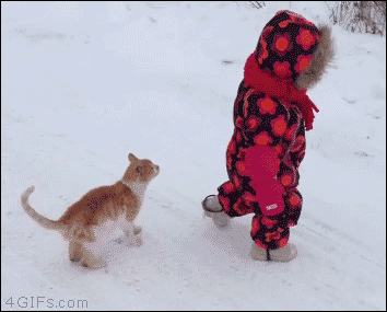 2f3e44172b3e6d57b1c9b27152831dad.gif
