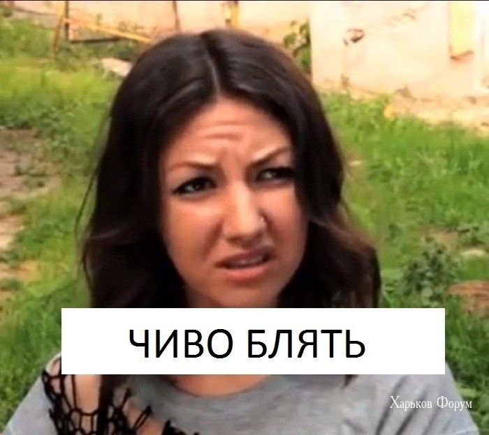 2f55f78ed2ad3e01bcf9.jpg