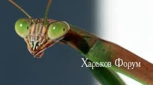 2f5d7b63258cf0c1c8a.webp