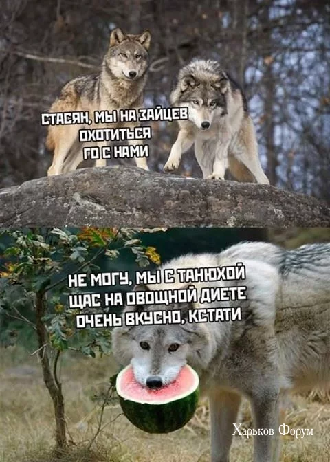 2f6d5d08d0bfad2bbecd.webp