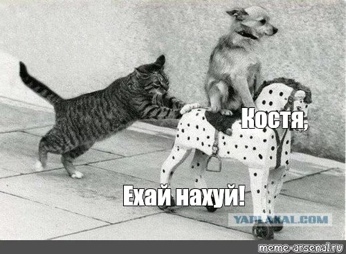 2f76fffed150363c4161feaa2a554281.webp