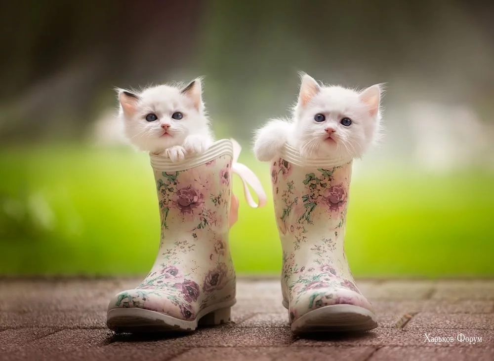 2f7e4a275c59b6478b138aa.webp