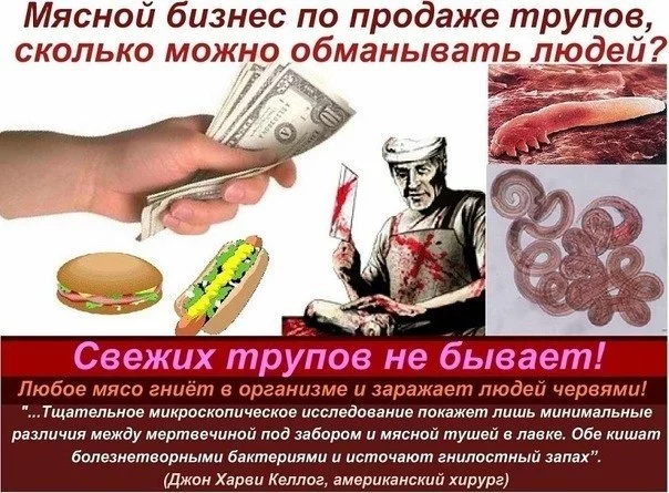 2fa291db1c558d82f46b76ec1818728f.webp