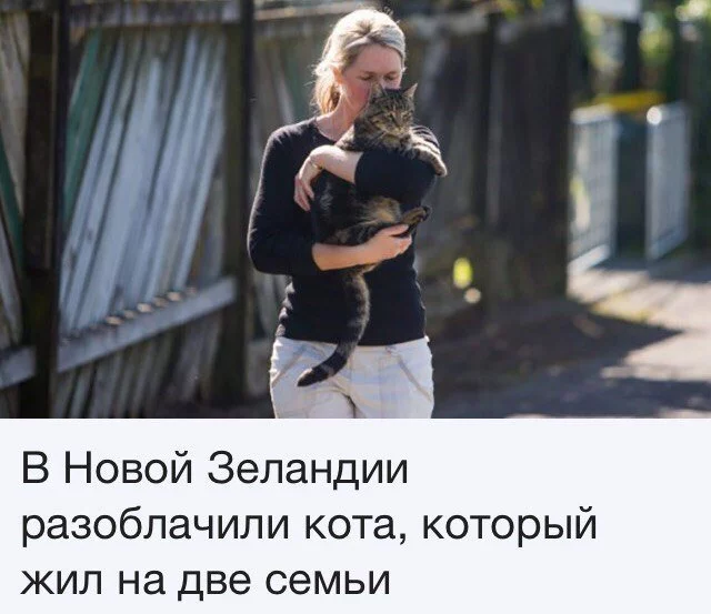 2fbace.webp