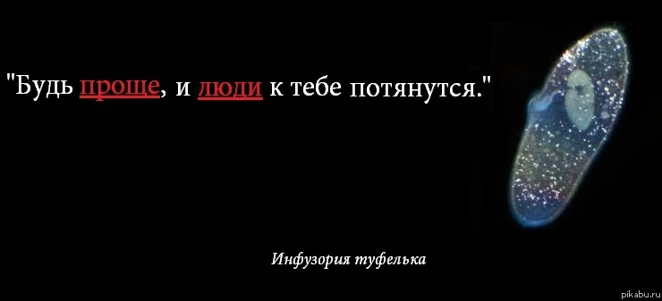 2fbeje.webp