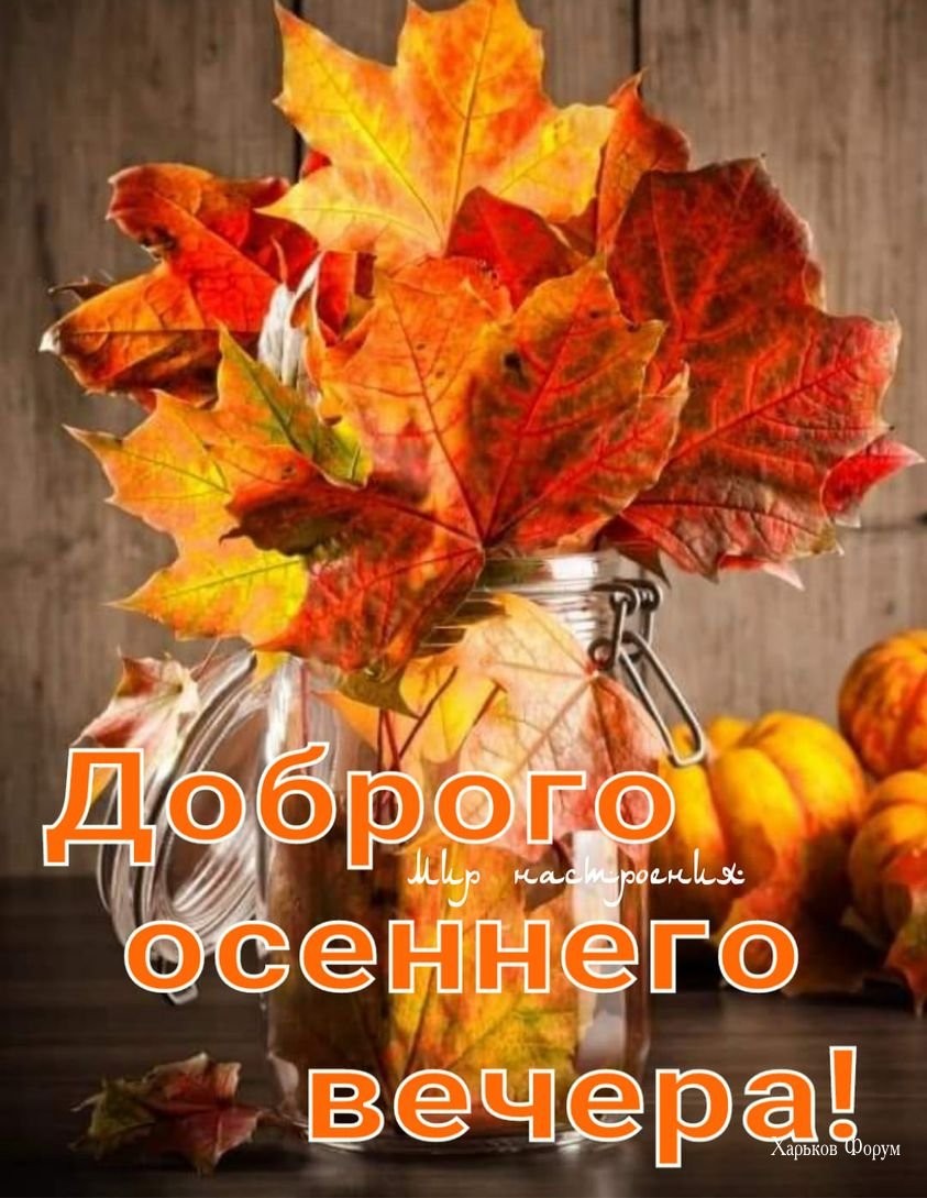 2fc044ae33c1f3d738.jpg