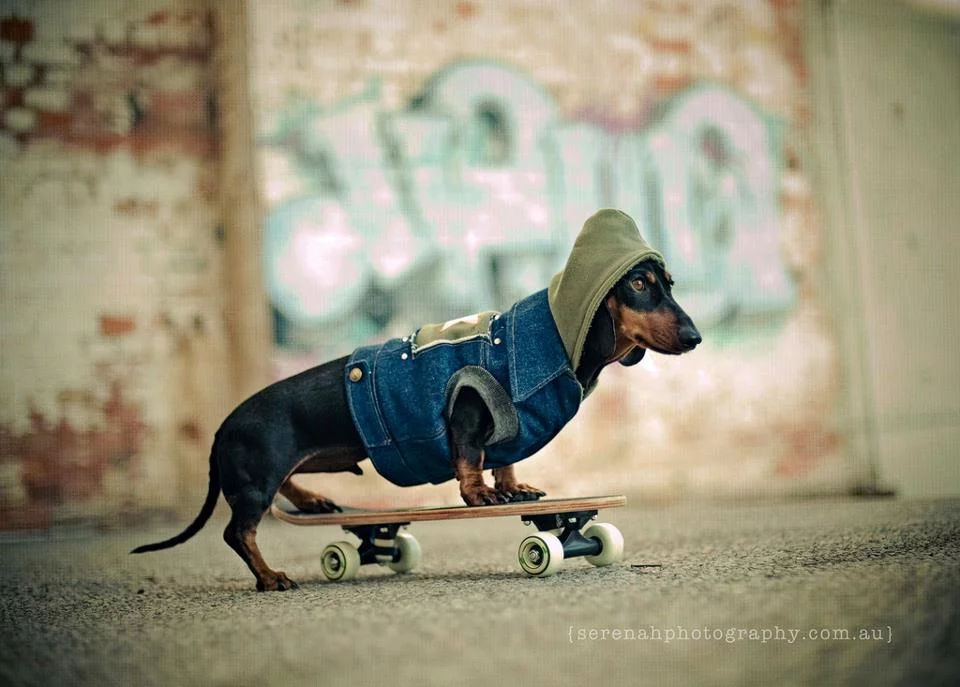 2feceh.webp