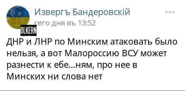 2ffebd.webp