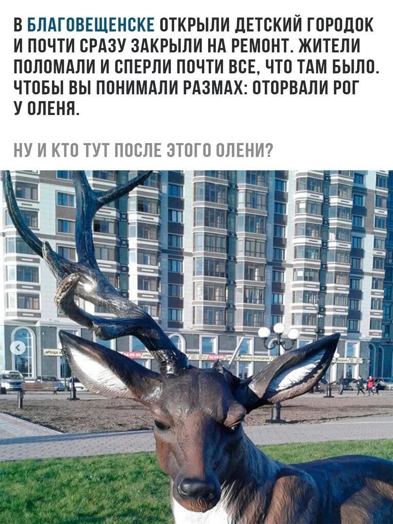 2ffhcd.webp
