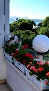 2gajhe.webp
