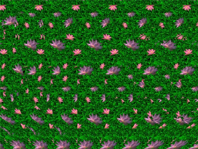 2gcajd.webp