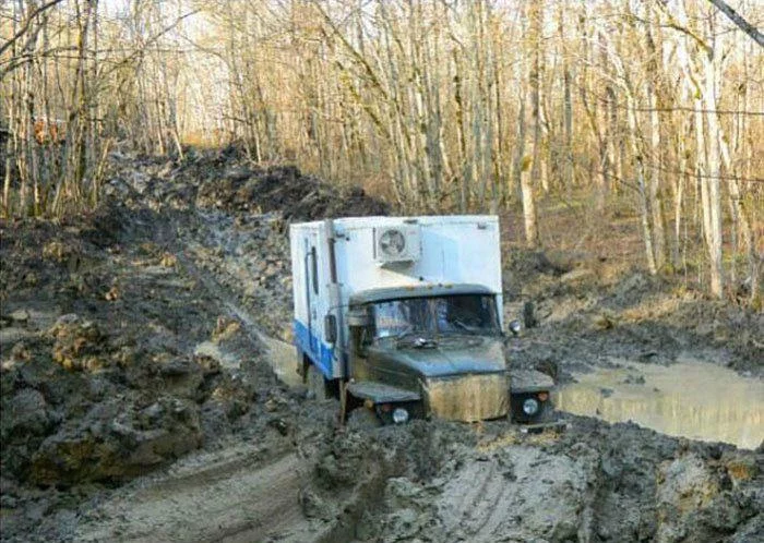 2gejcd.webp