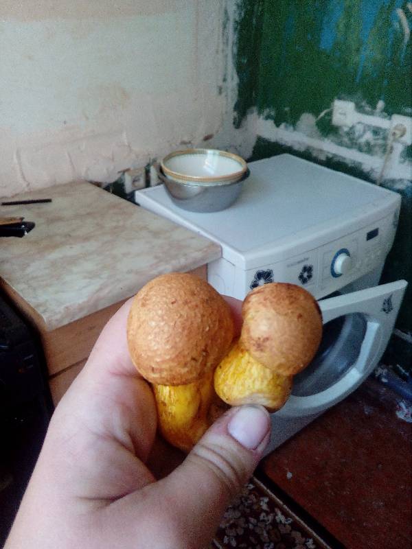 2gfgfd.jpg