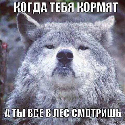 2ghgga.webp