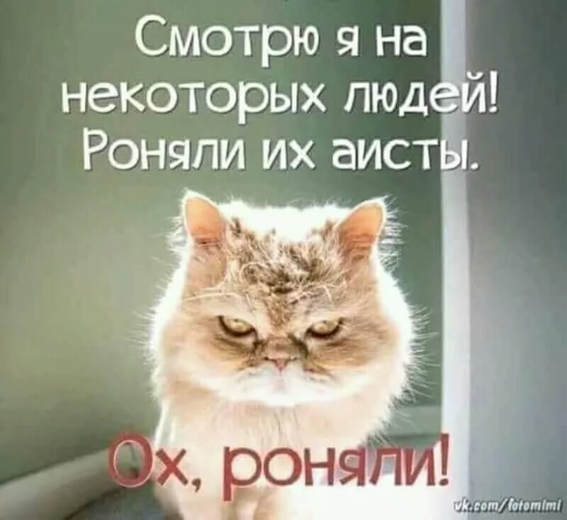 2hagdg.webp
