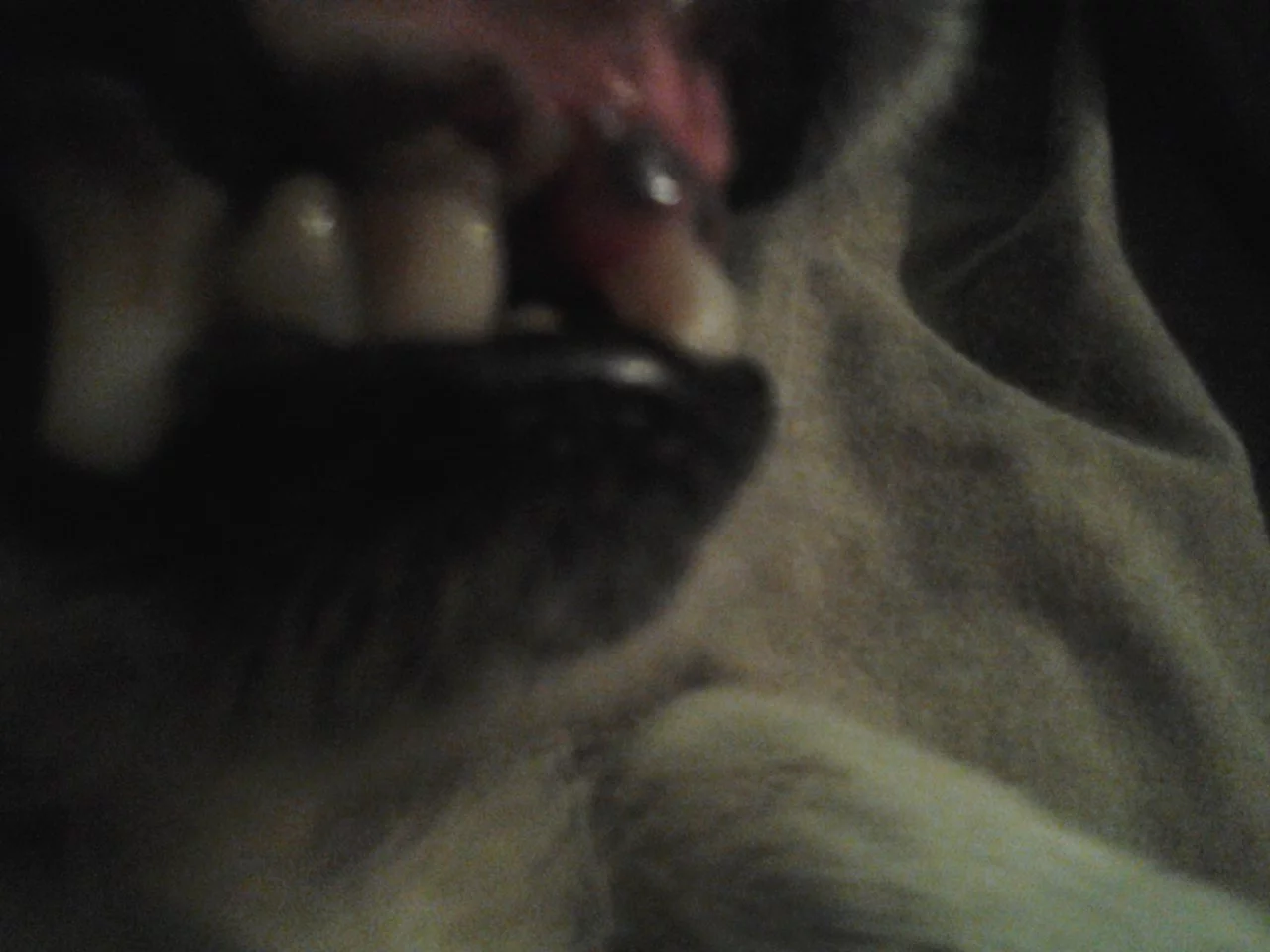 Почему эти люди до сих пор не изолированы от общества? - Page 3