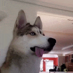 2hfaba.gif