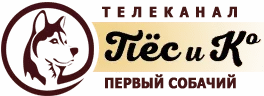 2hfjje.webp