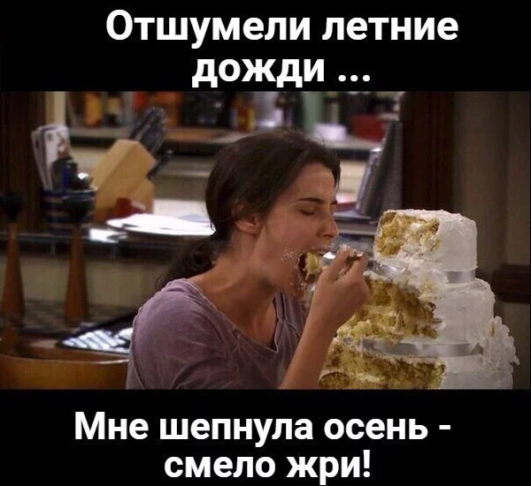 2IROLUC9SZE.webp