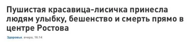 2jeecb.webp